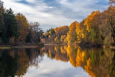 Autumn Forest Reflected in Calm Lake