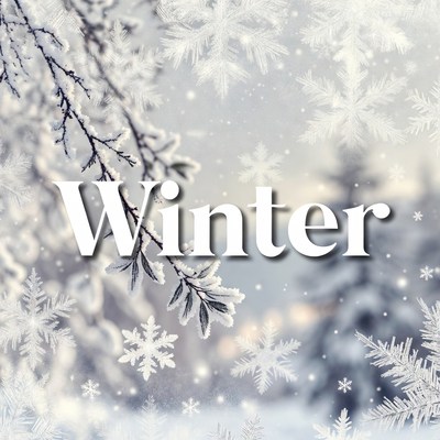 Winter Text with Snowy Branches