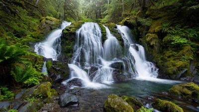 Majestic waterfall in lush green forest
