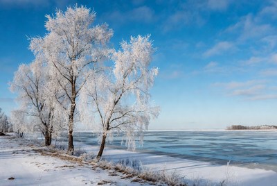 Frost-covered trees by frozen river