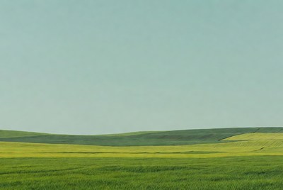 Vast green rolling hills landscape
