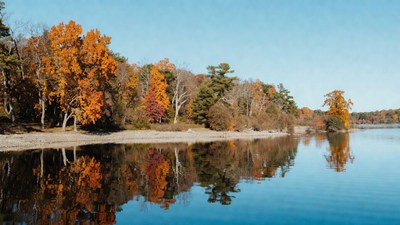 Autumn Trees Reflecting in Lake