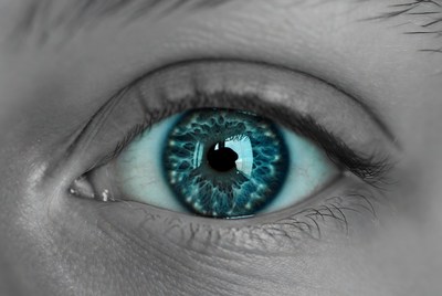 Close-up blue human eye