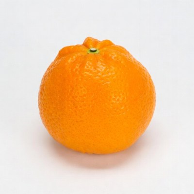 Fresh Mandarin Orange Isolated