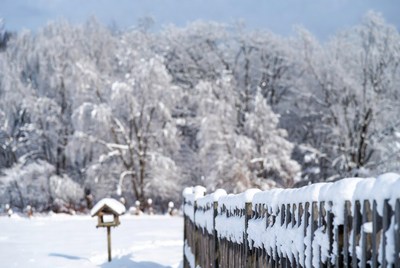 Snowy Bird Feeder on Wooden Fence