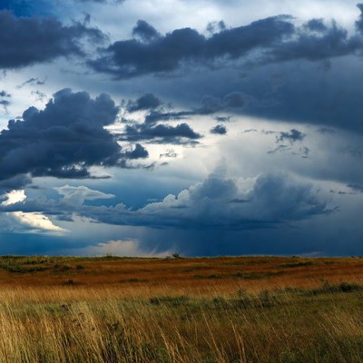 Dramatic stormy clouds over golden grassland