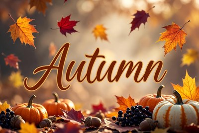 Autumn Leaves and Pumpkins