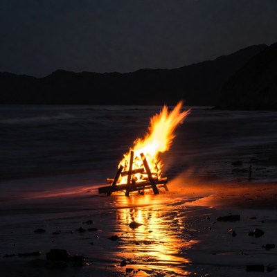 Bonfire Burning on Beach at Night