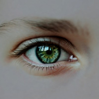 Close-up green eye