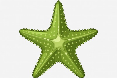 Green Starfish Illustration