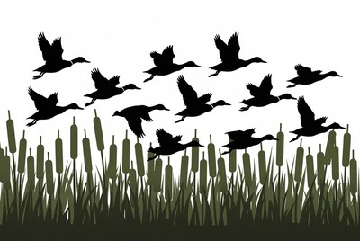 Flock of Ducks Flying Over Reeds