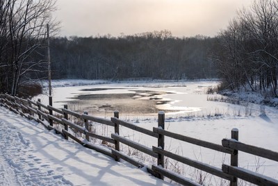 Snowy Pond with Wooden Fence
