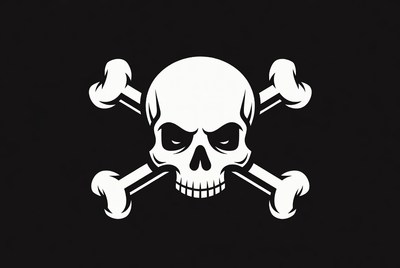 Jolly Roger Pirate Skull Flag
