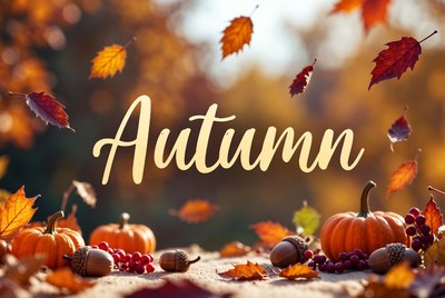 Autumn Pumpkins Acorns Falling Leaves