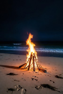 Bonfire on Beach at Night