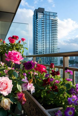 Red Pink Roses on Balcony with Skyscraper