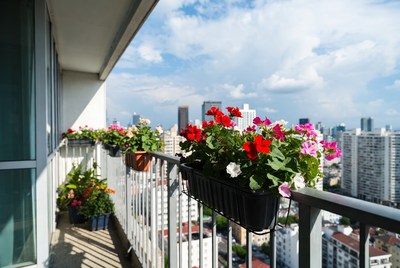 Balcony flower boxes with city skyline