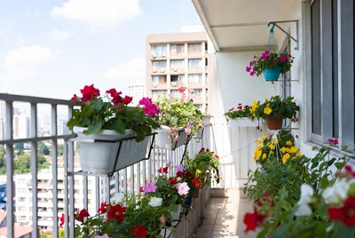 Colorful Flowers on Balcony with City View