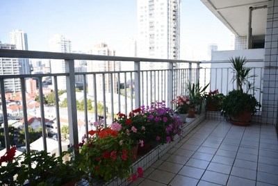 Balcony with Flowers and City View