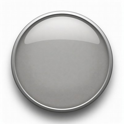 Shiny Silver Gray Button
