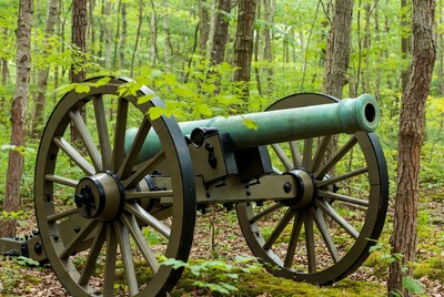 Civil War Cannon in Forest