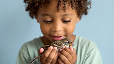 Black boy holding sparrow