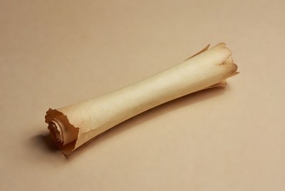 Rolled Ancient Parchment Scroll