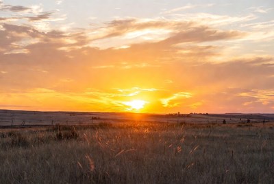 Sunset over grassy field
