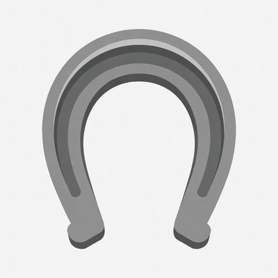 Silver Horseshoe Illustration