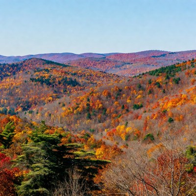 Autumn Fall Foliage Mountain Landscape