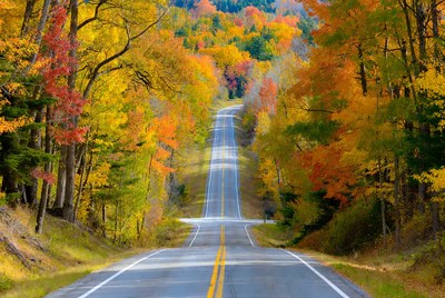 Autumn Fall Road Through Colorful Trees