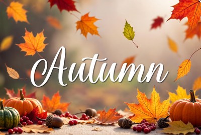 Autumn Leaves and Pumpkins