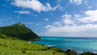 Green Cliff Overlooking Turquoise Ocean