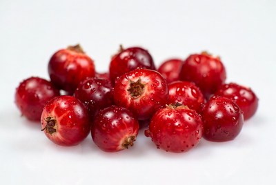 Fresh Red Lingonberries on White Background
