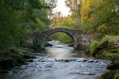 Stone Arch Bridge over Forest Stream