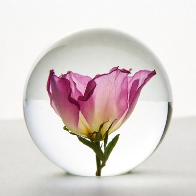 Pink Rose Inside Glass Sphere