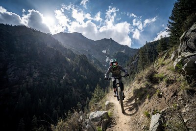 Mountain biker riding trail