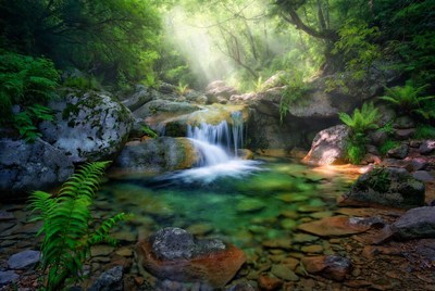 Waterfall cascading into emerald forest pool