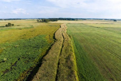 Aerial view of field path in golden crops