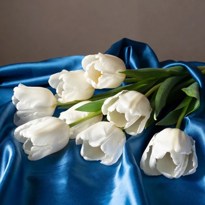 White tulips on blue silk