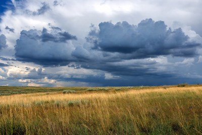 Stormy Clouds over Golden Grassland