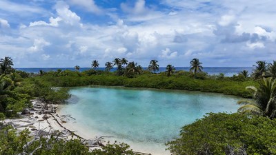 Turquoise Lagoon with Palm Trees