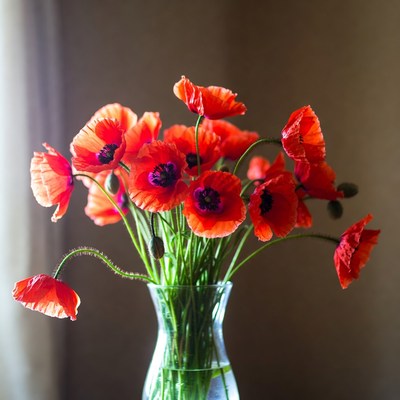 Red Poppies in Glass Vase