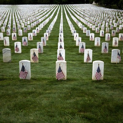 Rows of American Flags on Graves
