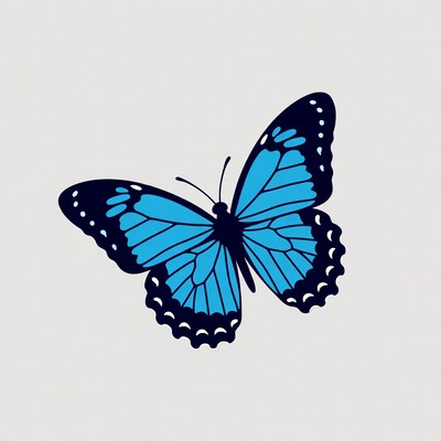 Blue butterfly illustration