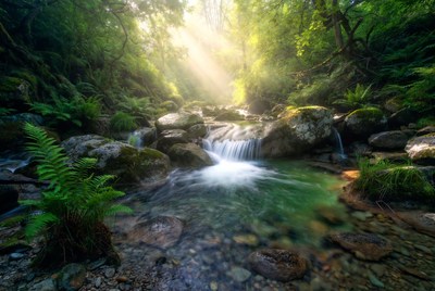 Forest Waterfall with Sunbeams
