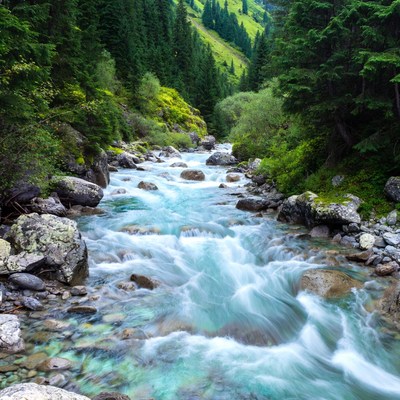 Mountain River Flowing Through Forest Valley