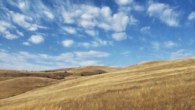 Golden rolling hills under blue sky
