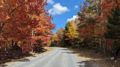 Curvy road through autumn forest