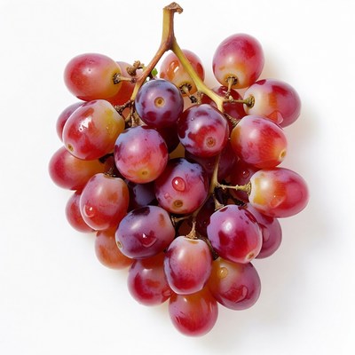 Fresh red grapes bunch